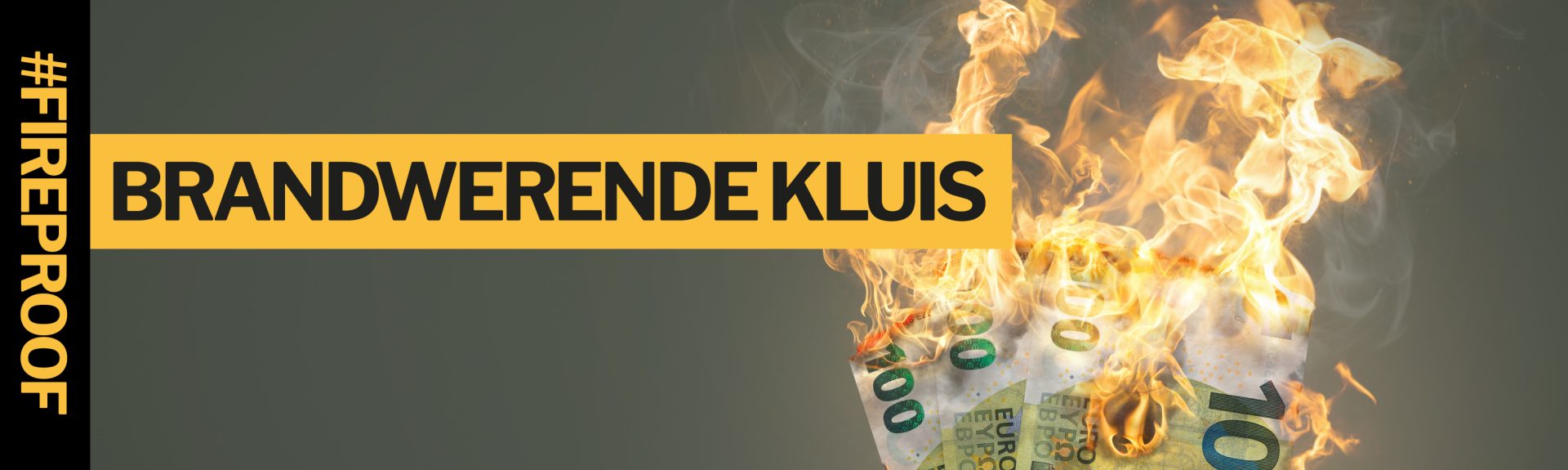 SW6 FIRE Banner 01 Nl